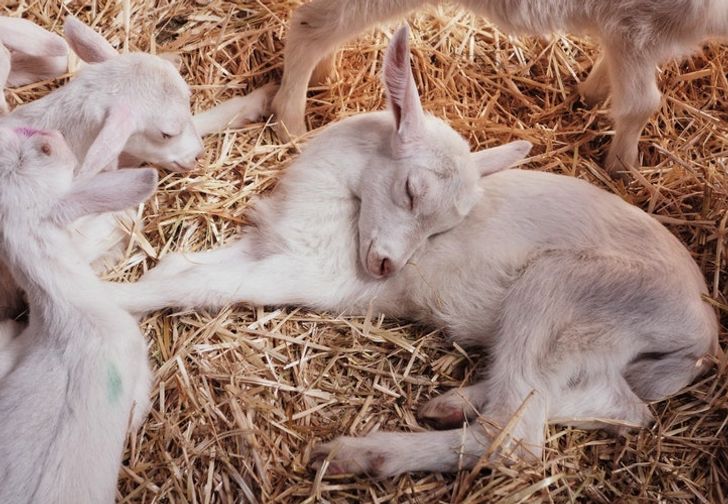 41308e5e1d8d765752d20808a6