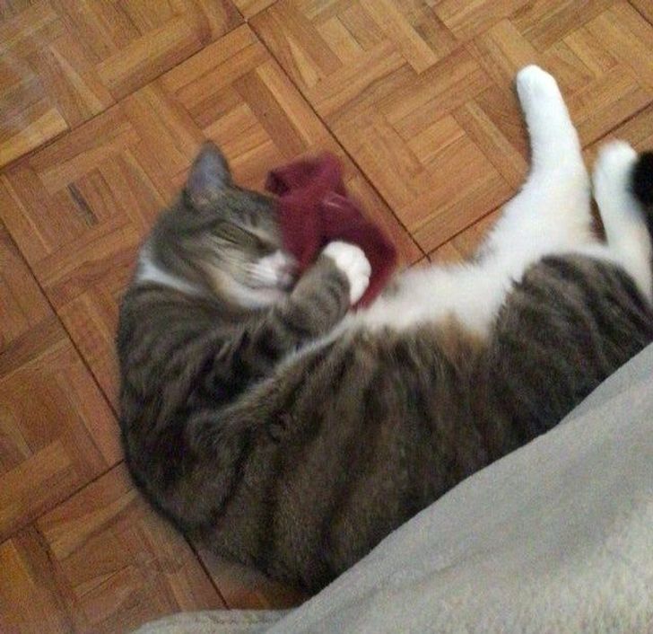 4132ff5d17bae55ecf162b2fc8