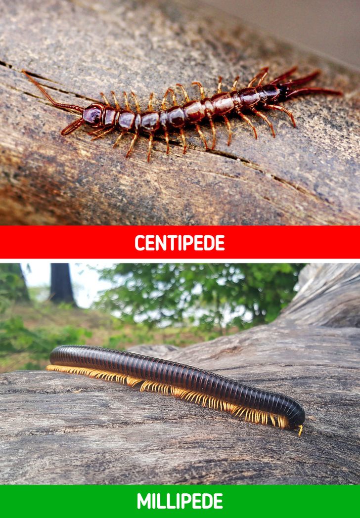 413a535ed38c33020973ca4ac2