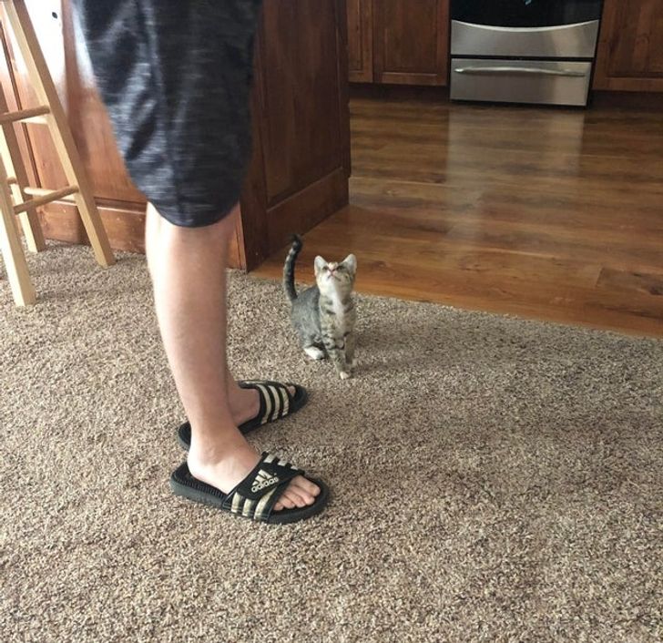 413b8a55f895cec1a72404e2df