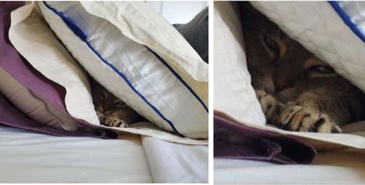 41404957b5ab8b080d9ab98080