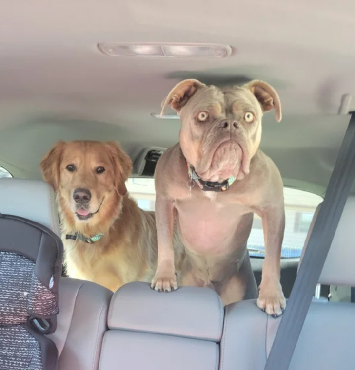 414cda56f1b38cd6a657c14a61