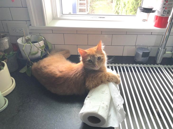 415b3b55269948976ba2c2ab2d