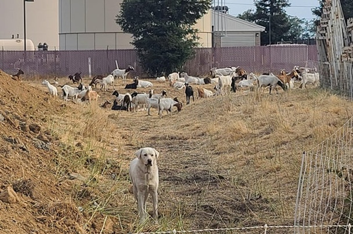 41663350c8aa1ae6dc8800a5e2 41663350c8aa1ae6dc8800a5e2