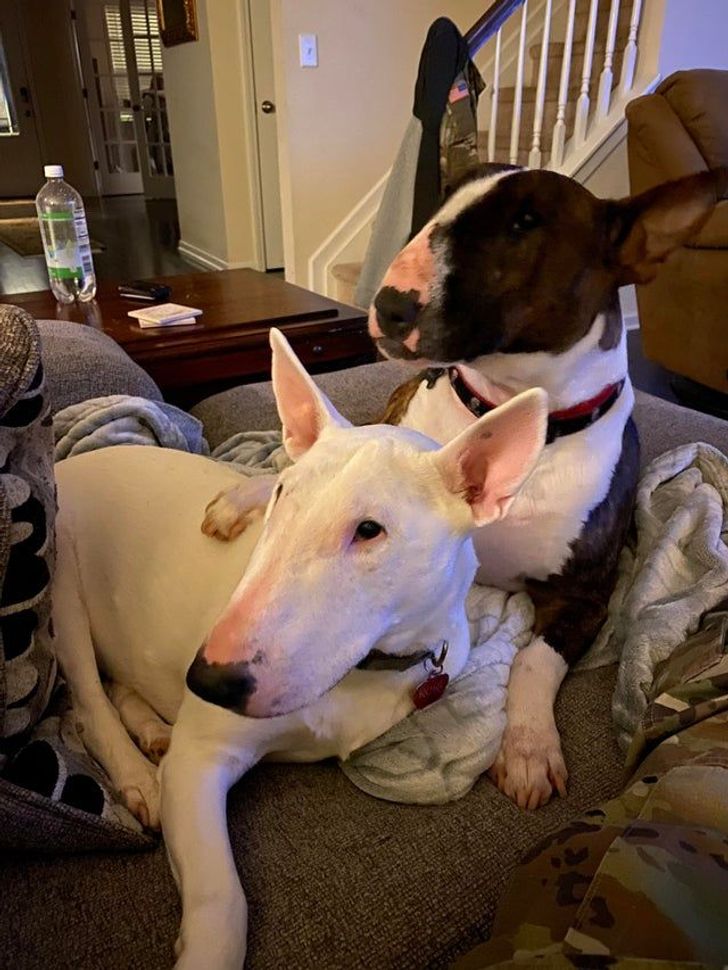 41718f5dc09fce35c827e0cf76