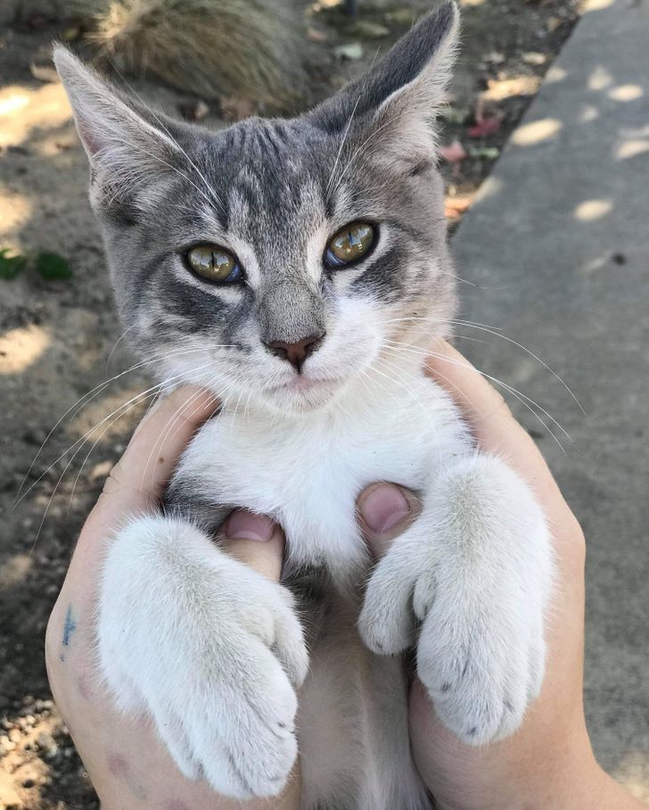 41737f5ab987f16486107847b6