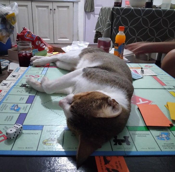 417fb95301b2bd002864c9e011