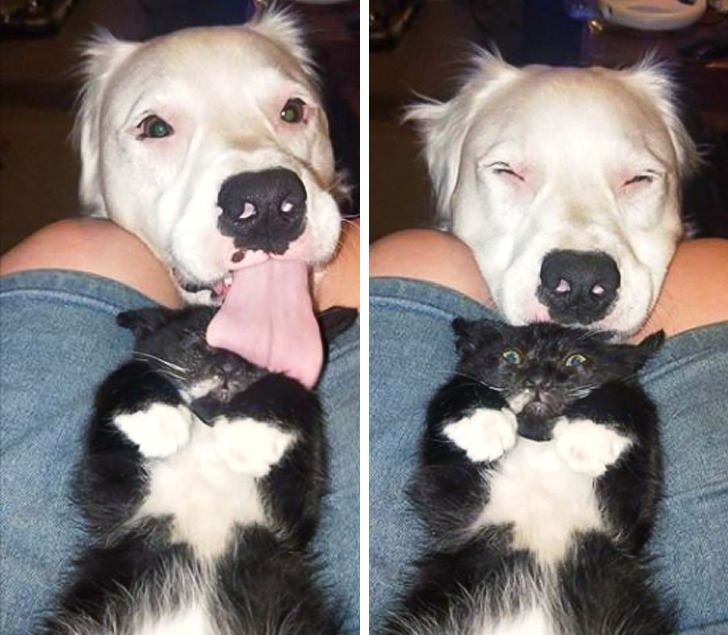 4186205857a9db709489f5500e