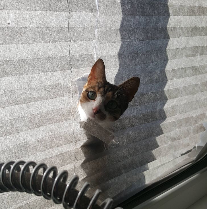 4188af588ba66e1329666fbdc9