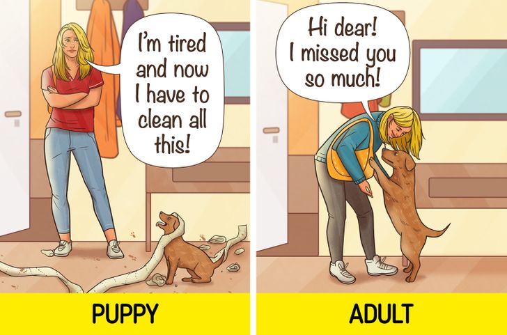 418aa9574f98049cc5411d2f46 418aa9574f98049cc5411d2f46