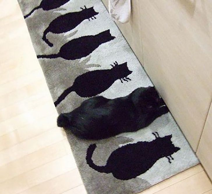 4192385d9994d614d043668f7f