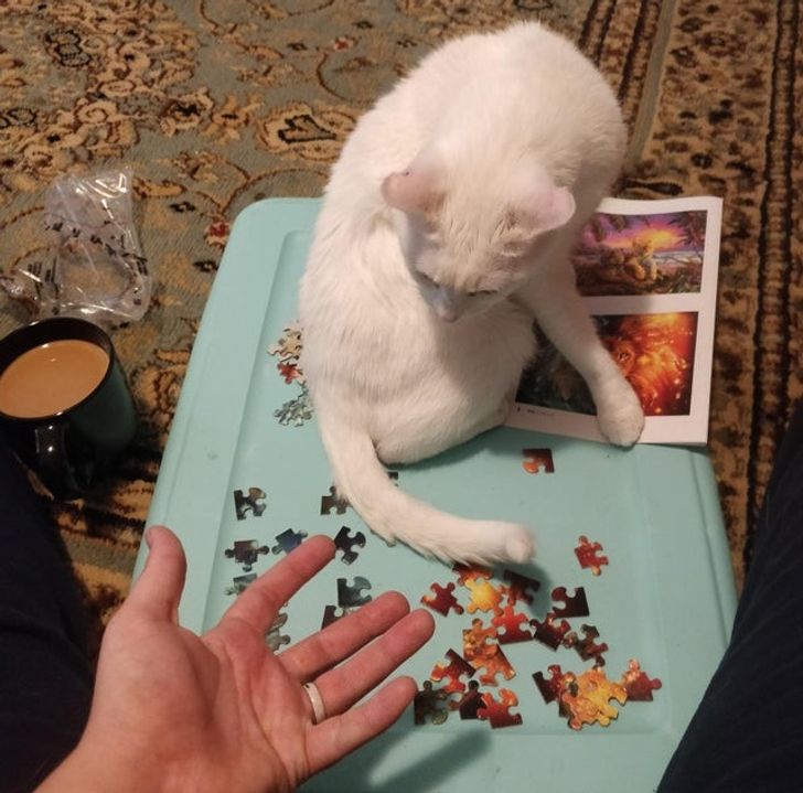 419bbf55099e828f09cb91daa4