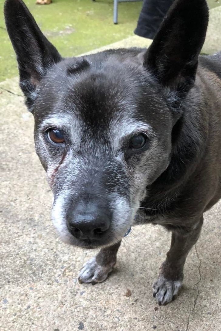 41ad39597a8f03007d5d63c9df