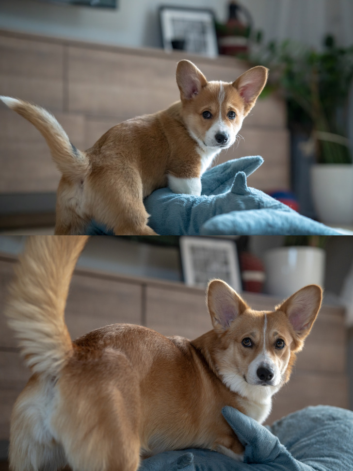 41aea55017a487033dbd285c84 41aea55017a487033dbd285c84