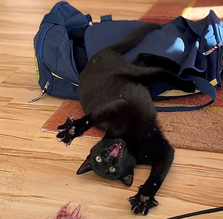 41b4c351769a10c32ce1bb7234 41b4c351769a10c32ce1bb7234