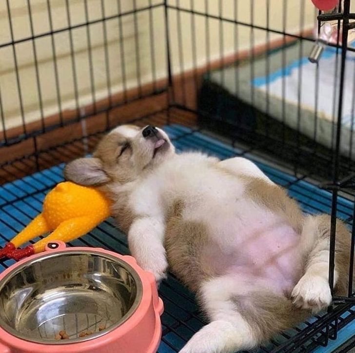 41b610589a9a3b3c29e4660ff7