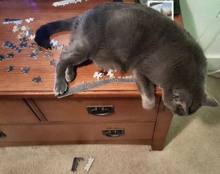 41bbf95340b3f7068d7cb76f07