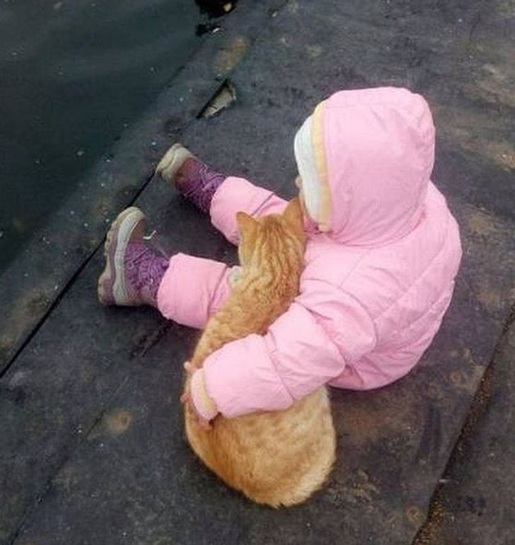 41c2e352e8a8a7b4272f0d6aaa