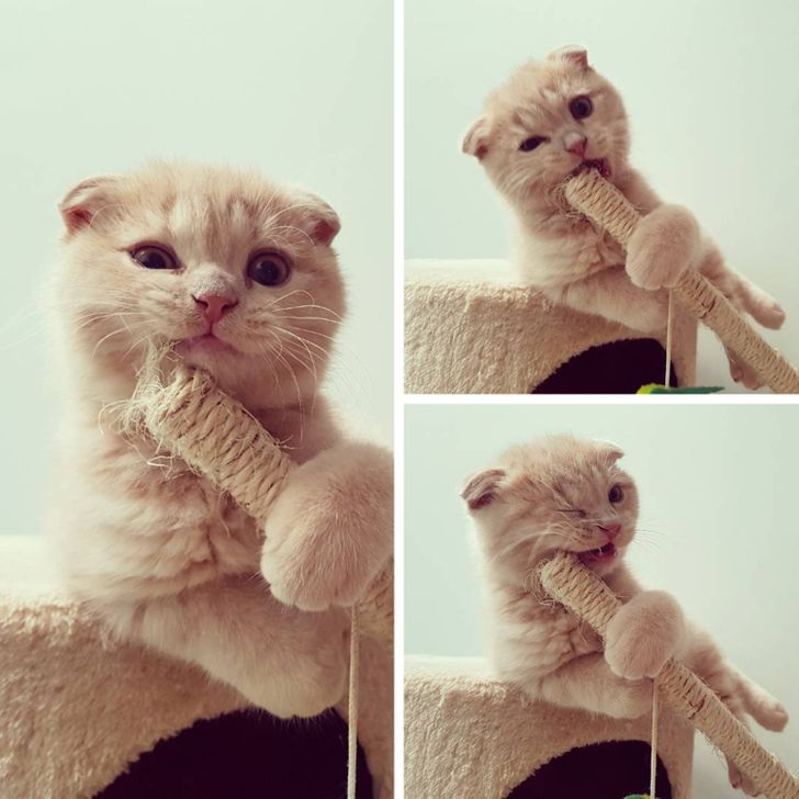 41c5165c568c773a08c5ad8c8e