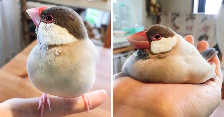 41cdd95235b4946ad5813c6af8