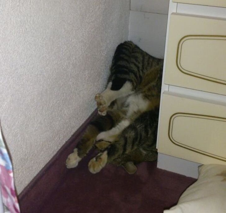 41d46e55c9a7a630841aa66939