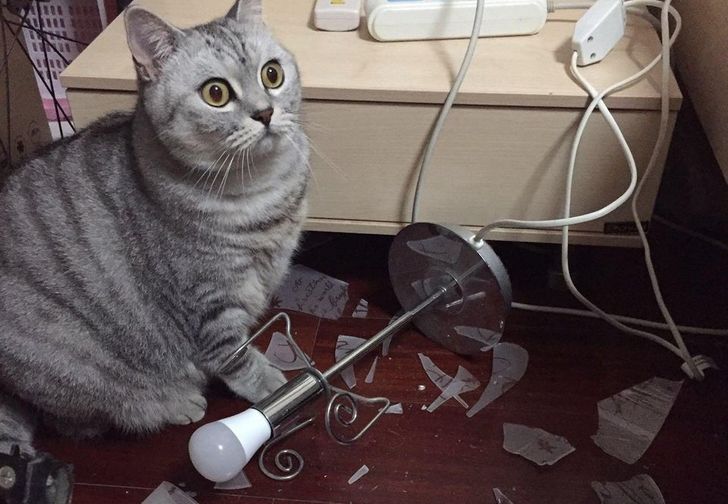 41da3d508aac216f6dbb28a222