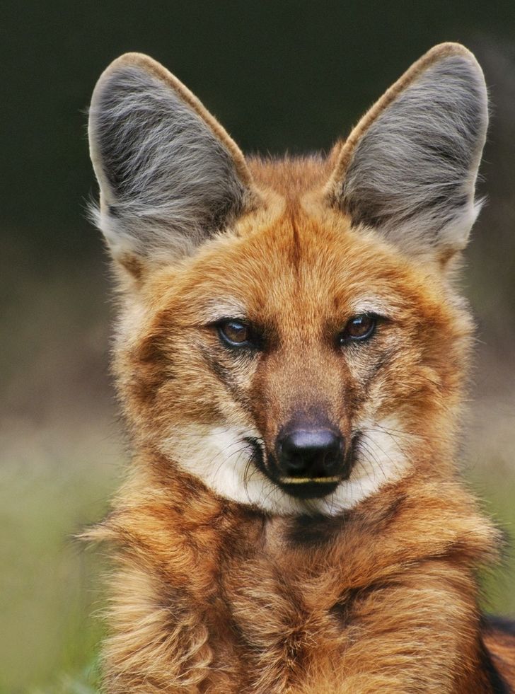 41dc2555e4908c0663dea96a22