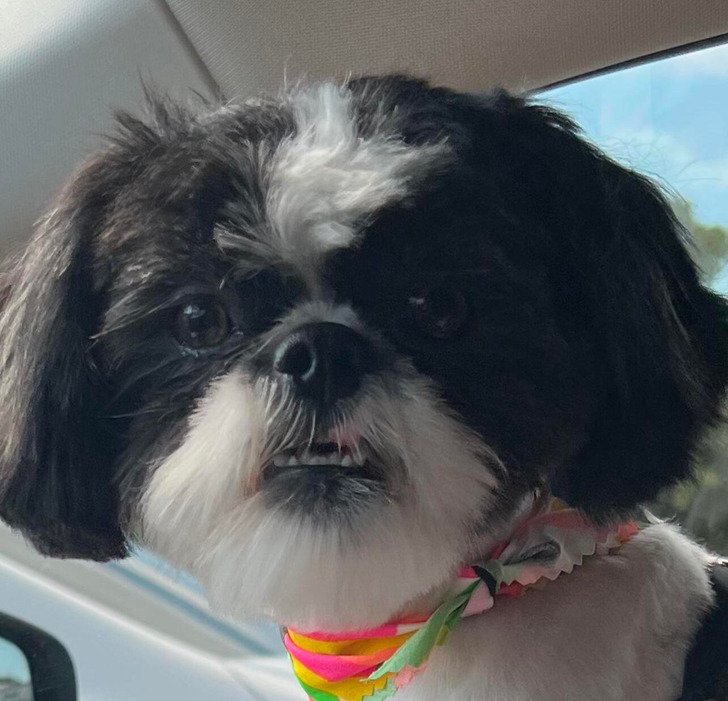 41dc5354eab4c7b5ac815348d3 41dc5354eab4c7b5ac815348d3