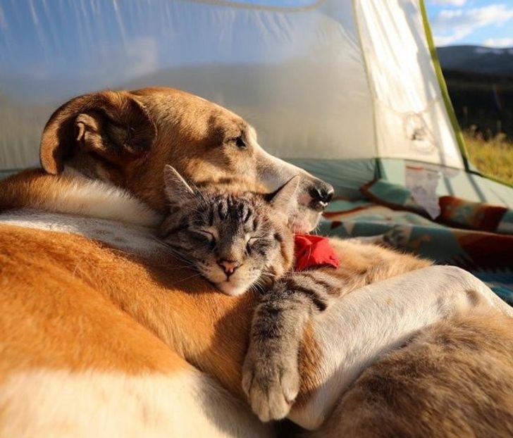 41dd2b51dea15fcb41aa10cf18