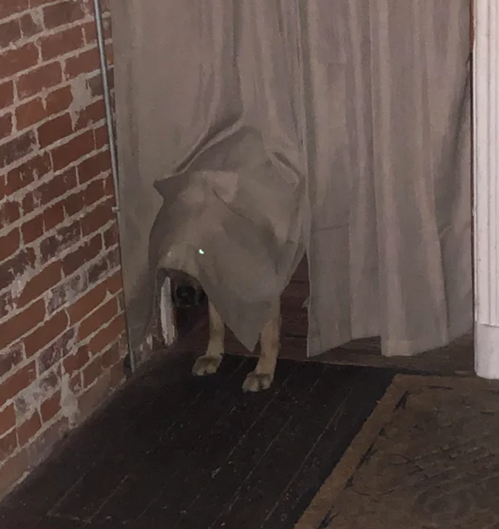 41fff55fd4813b64d77957bb8a