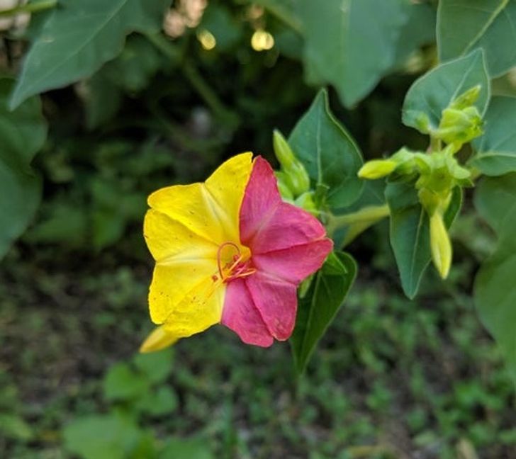 42019a51c296a1b72a7029266d