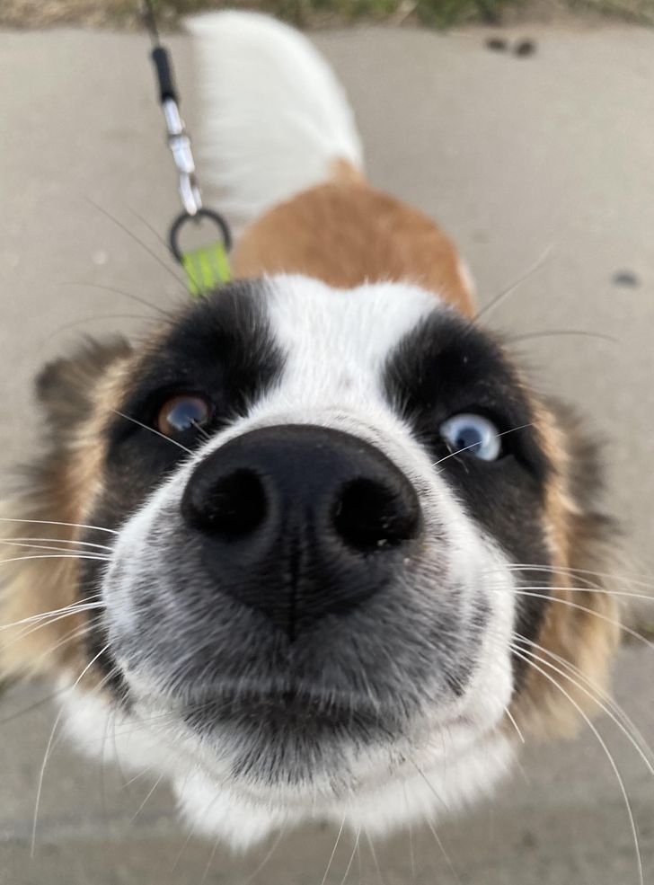 4202a5596095c95c3472d0c02e