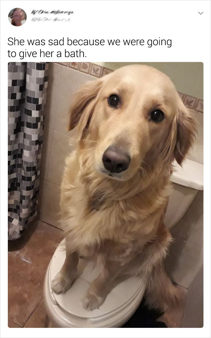 42030f51f78e834ff6aafbd6d4