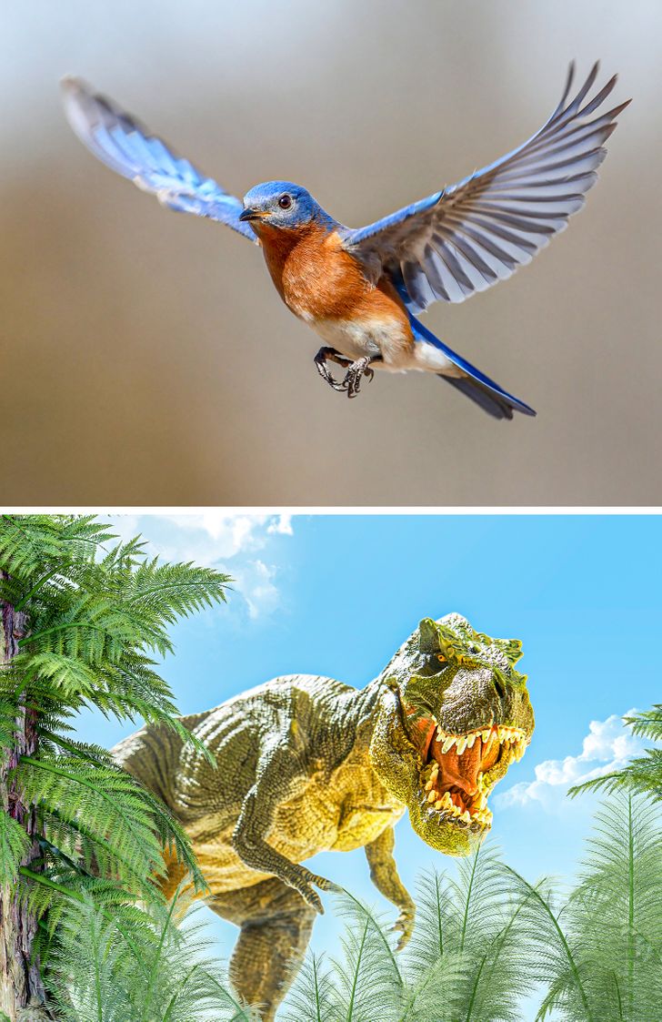 42115a5216ac7a0173cd46d346