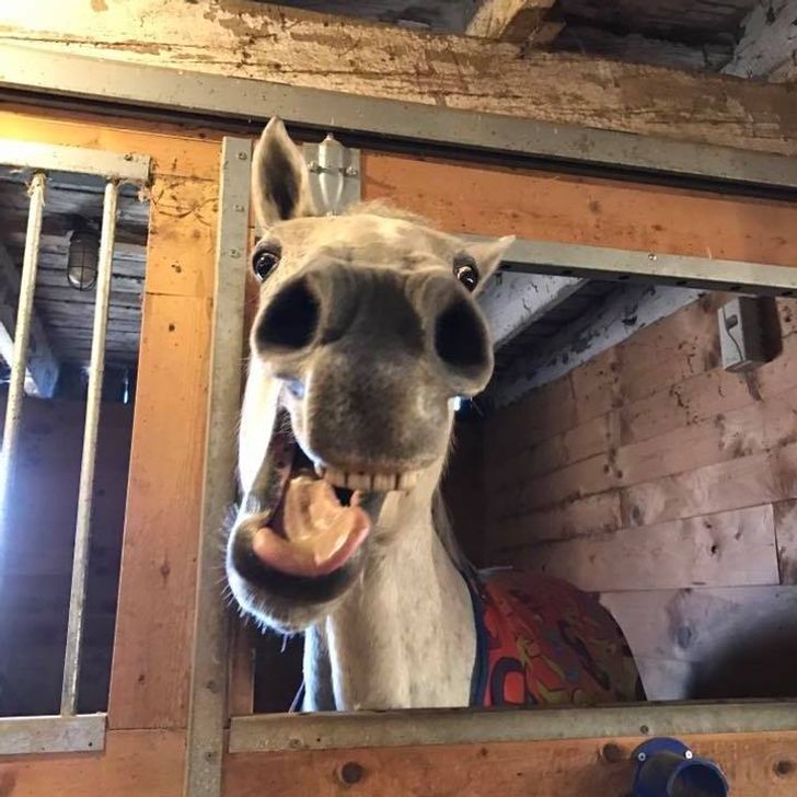 4213c55fd5a2f8d60fb47bdb84