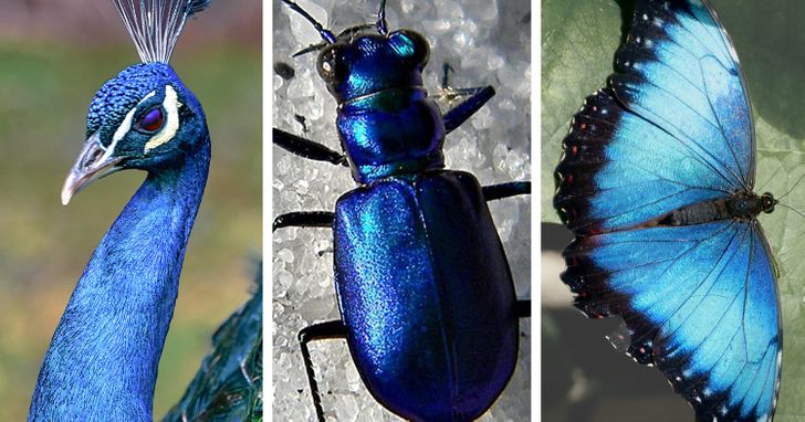 4217da50598b192a8d09549a1e