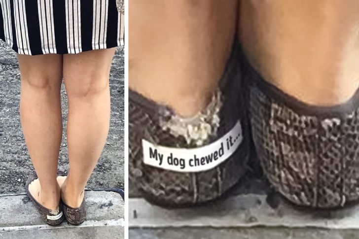 421c625202a952f0982bf4ad77