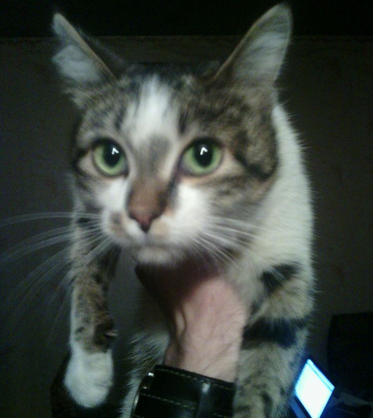 4221d35a3fbcaf7637f0dfd687