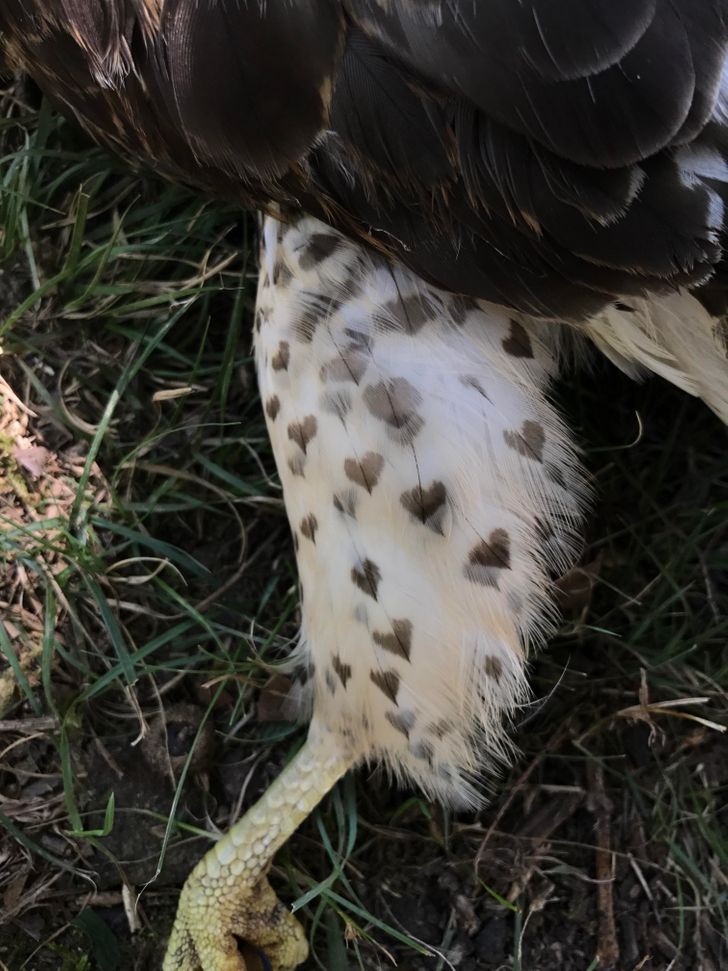 42228351fb9e5a64edd543c17e