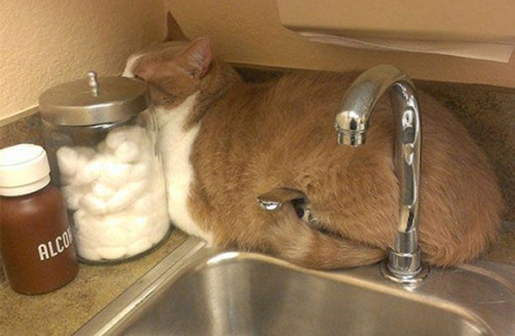 422aa651eb9e03ce2d8995ab2d