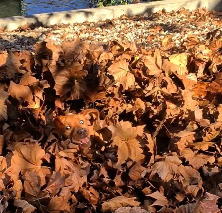 422acc5cd08d88dabc0e56c36c