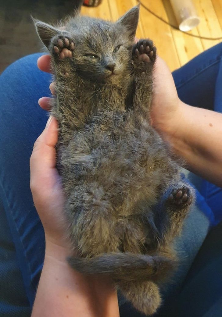 422ee25a23adfe12f313f4b3c8