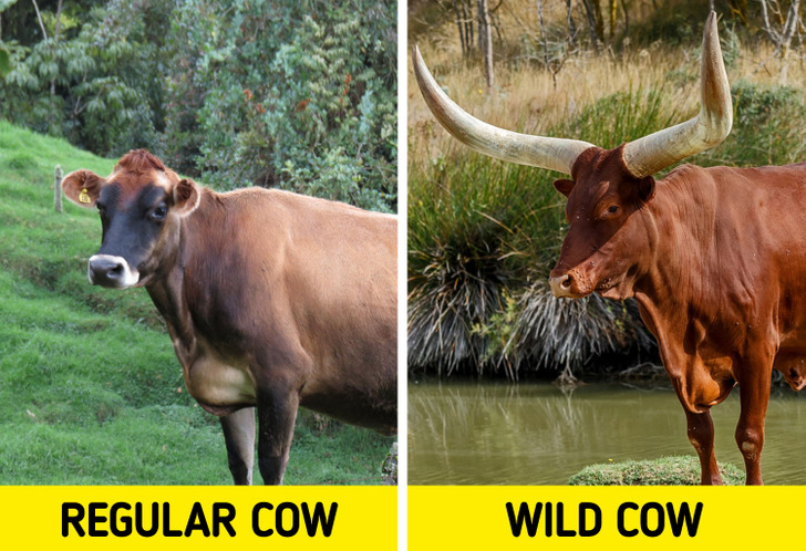 422fc3594ca5ed11ef8d4cf6c5