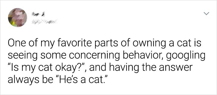 423a3b56e58b1e2c0f9196fe52