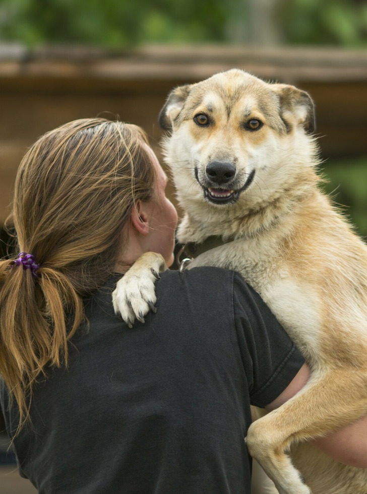 423e73528989a1839c5c98b54e