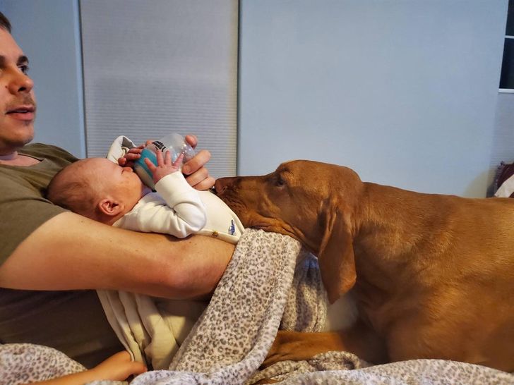 42474c5e0d9e52e0ed63f27a79 42474c5e0d9e52e0ed63f27a79