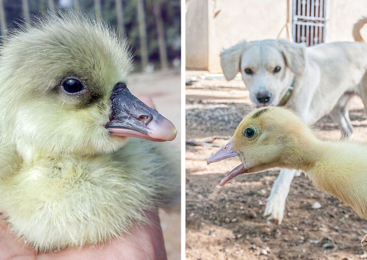 42483a5505bdf527eb860e2b29