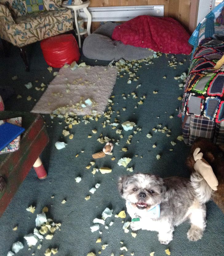 42552f5e638d350e91181fcc14