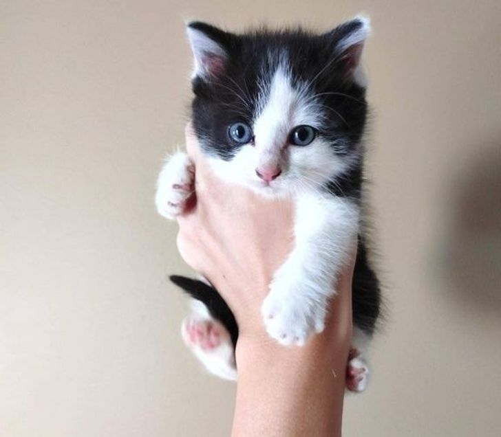 425a4e5599b74522605d746648