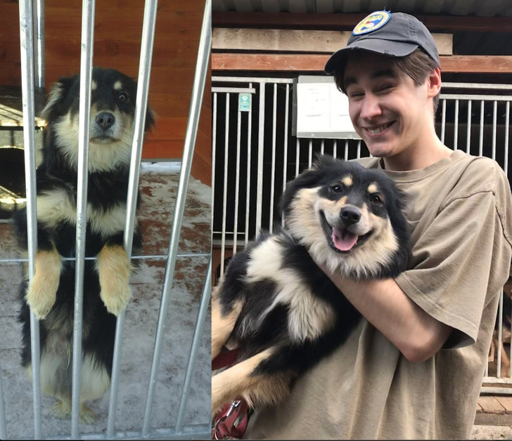 425bdb5c4dad16023ce2b90309